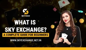 What Is Sky Exchange