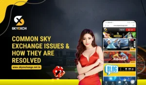Common Sky Exchange Issues & How They Are Resolved