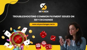 Troubleshooting Common Payment Issues on Sky Exchange
